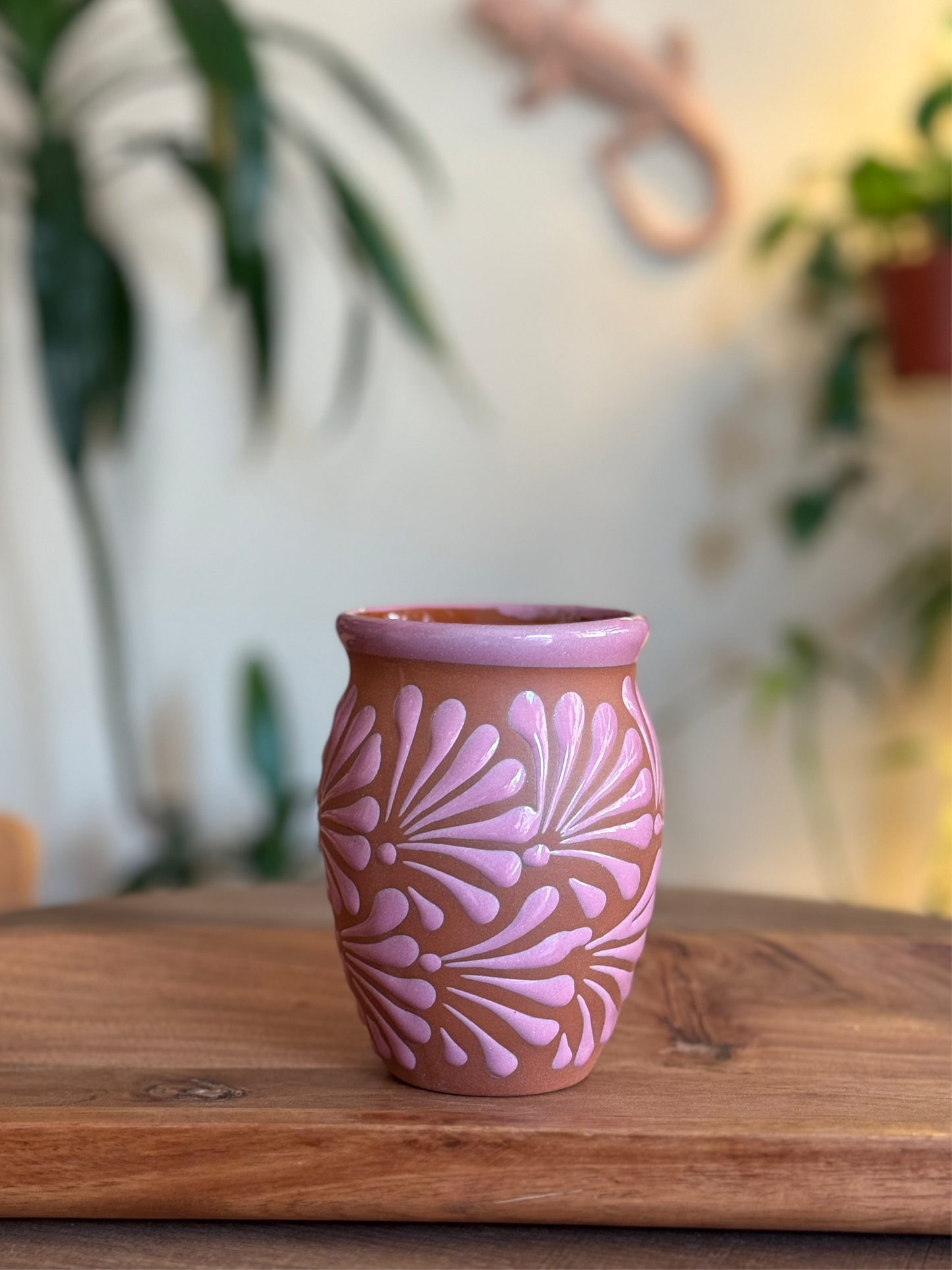 Cántaro plumeado pink